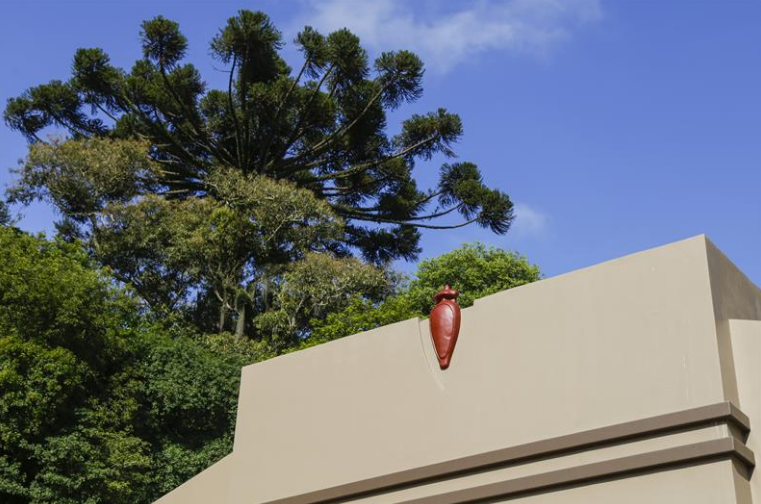 Guia Nomade Parque são lourençe Curitiba 5